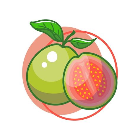 Diseño de ilustración de dibujo de fruta... | Premium Vector #Freepik #vector #frutas #guayaba #frutas-vegetales #vegetariano Guava Illustration, Guava Vector, Guava Fruit, Fruits Drawing, Drawing Book, Fruit Basket, Premium Vector, Vector Illustration, I Hope