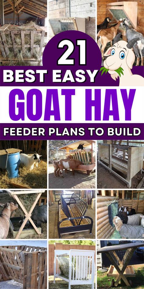 Homemade Goat Feeders, Goat Feeding Station, Goat Hay Feeders Diy, Covered Hay Feeder, Diy Goat Hay Feeder, Diy Goat Toys, Diy Hay Feeder, Sheep Feeders, Pygmy Goat House