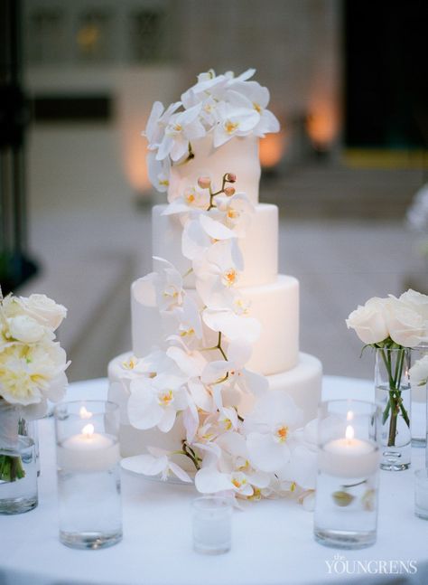 Wedding Cake Orchid Flowers, Wedding Cake With Orchid Flowers, Orchid Wedding Table Centerpieces, Orchid Flower Wedding Decoration, Orchids On Cake, Wedding Cakes Orchids, Orchid Themed Wedding, Orchids Wedding Decorations, White Orchid Wedding Cake