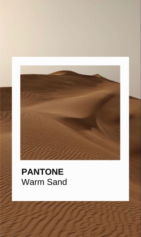 Sand Pantone, Content Ideas, Mood Board