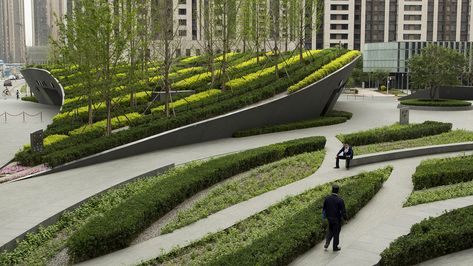 Chinese Plants, Riverside Park, Chengdu, Plant Design, Urban Design, Open Space, Landscape Architecture, Water Features, Honda Civic