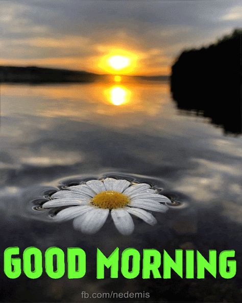 Good Morning Gif Message Latest Good Morning Gif, Cute Good Morning Texts, Good Morning Wishes Gif, Good Morning Handsome, London Wallpaper, Good Morning Quotes For Him, Good Morning Beautiful Gif, Morning Quotes Images, Morning Quotes Funny