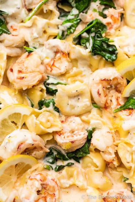 Shrimp And Chicken Tortellini, Shrimp And Tortellini Recipes, Shrimp Tortellini Recipes, Caprese Pasta Recipe, Shrimp Tortellini, Lemon Garlic Cream Sauce, Popular Pasta Recipes, Cheese Tortellini Recipes, Tortellini Recipe