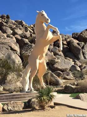 Apple Valley California, Rearing Horse, California Desert, Roy Rogers, Roadside Attractions, Horse Riding, Rocky Mountains, Southern California, Horses