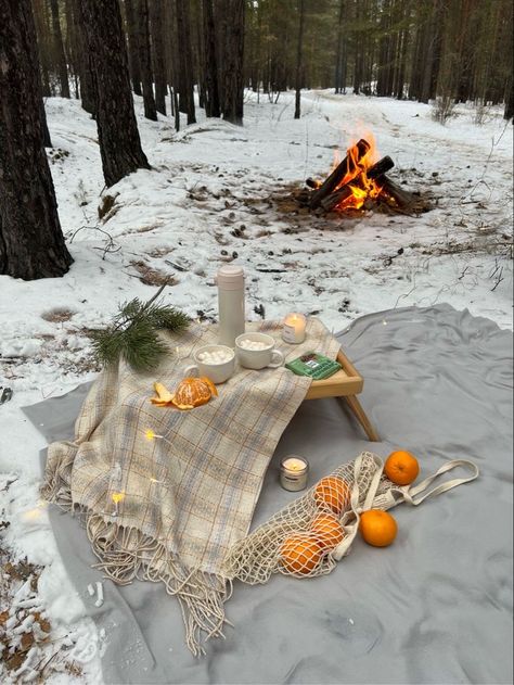 Winter Picnic, Camping Set Up, Snow Photography, Beach Christmas, Beach Portraits, Winter Girls, Winter Baby, Winter Aesthetic, Beautiful Fantasy Art