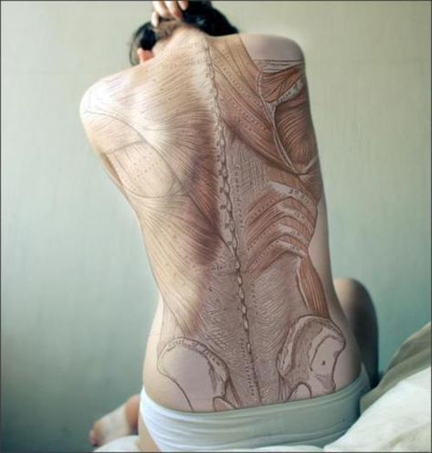 anatomical tattoo  full back bones and muscles Anatomy Tattoo, Science Tattoos, Trigger Point Massage, Bauch Tattoos, 1 Tattoo, Ink Master, Real Tattoo, Pattern Tattoo, Body Modifications