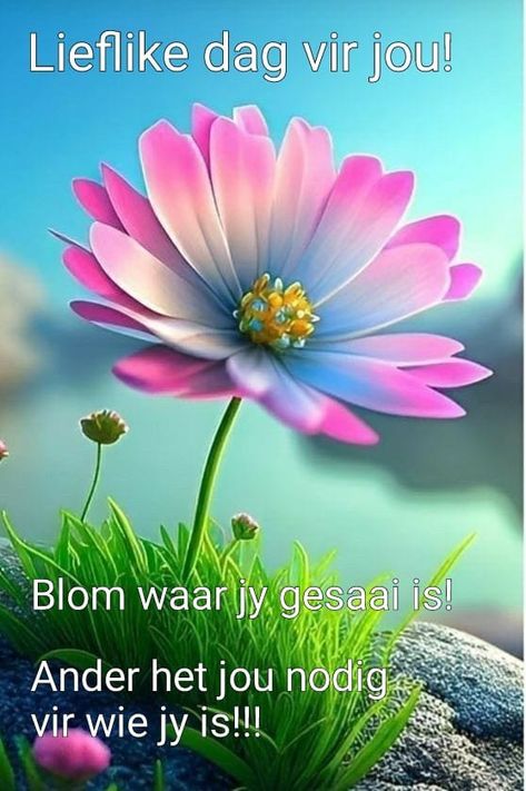 Afrikaanse Woorde, Good Morning Wishes Gif, Afrikaans Quotes, Inspirational Verses, Good Morning Image Quotes, Well Wishes, Good Night Wishes, Morning Blessings, Night Wishes