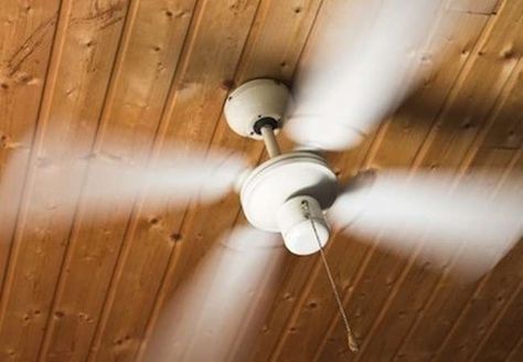 9 Ways to Lower Cooling Costs in Rising Heat Ceiling Fan Direction, Farmhouse Wall Clock, Winter Survival, Energy Saving Tips, Survival Shelter, Fan Picture, Daylight Savings Time, Survival Life, Home Improvement Store