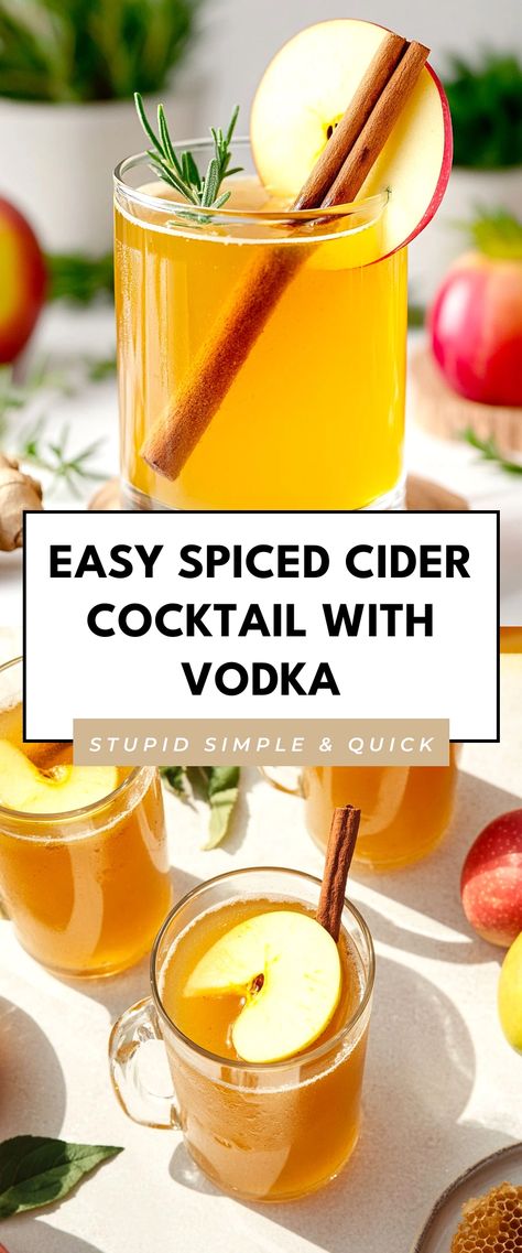 Image for Easy Spiced Cider Cocktail with Vodka Spiced Cider Cocktail, Cider Alcohol Drinks, Apple Cider Alcohol, Cocktail With Vodka, Spiked Cider, Cider Cocktail, Spiked Apple Cider, Night In With Friends, Warm Apple Cider