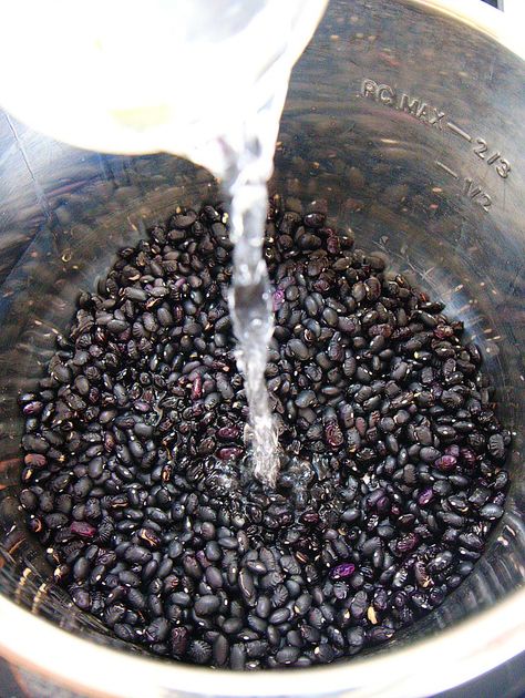 Instant Pot black beans Pressure Cooker Black Beans, Tinta Natural, Hantverk Diy, Natural Dye Fabric, Bikinis Crochet, Eco Dyeing, Spinning Wool, Food Stamps, Eco Printing