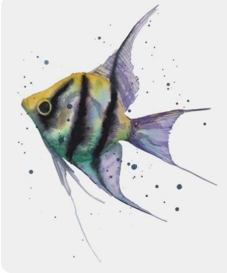 Coastal Animals, Watercolor Angel, Art Fish, Watercolor Fish, Animal Art Prints, Fish Fish, Fish Drawings, Blue Fish, Angel Fish