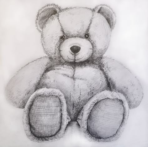 Drawing Teddies with Y7 Big Teddy Drawings Of Teddy Bears Pencil, Teddy Bear Drawing Realistic, Teddy Bear Sketch Drawings, Teddy Bear Drawing Pencil, Teddy Drawing, Teddy Bear Sketch, Toy Drawing, Teddy Bear Drawing, Bear Tattoo Designs