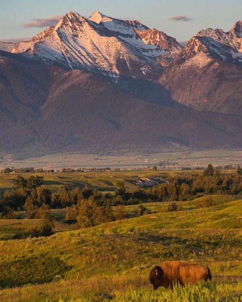 Montana Nature, Nature Wonders, Western Montana, Montana Mountains, Montana Ranch, Big Sky Montana, Western Landscape, Big Sky Country, Big Sky