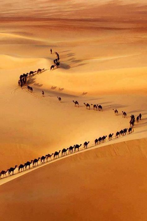 Fire Keeper, Sandy Desert, المملكة العربية السعودية, Wild Nature, Jolie Photo, Bhutan, Sand Dunes, Arab Emirates, Mongolia