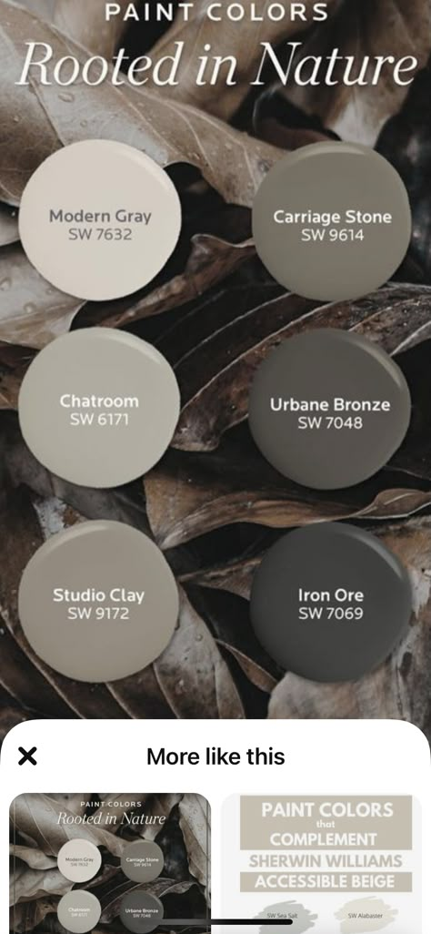 2023 Interior Wall Paint Colors, Agreeable Gray Kitchen Color Scheme, Rustic Interior Color Palette, Wherein Williams Dark Gray, Dark Farmhouse Paint Colors, Cabin Bedroom Color Schemes, Paint Color Schemes Valspar, Paint Colors For Mountain Home, Modern Craftsman Color Palette