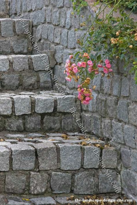 Cobblestone Steps, Front Porch Stone Steps, Hanging Patio Lights, Front Porch Stone, Garden Blocks, Cement Patio, Patio Layout, Garden Stairs, Stone Stairs