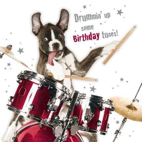 Birthday time! Happy Birthday Drums, Birthday Tune, Funny Happy Birthday Images, Happy Birthday Man, Happy Birthday 18th, Happy Birthday Kids, Happy Birthday Dog, Happy Birthday Vintage, Birthday Greetings Friend