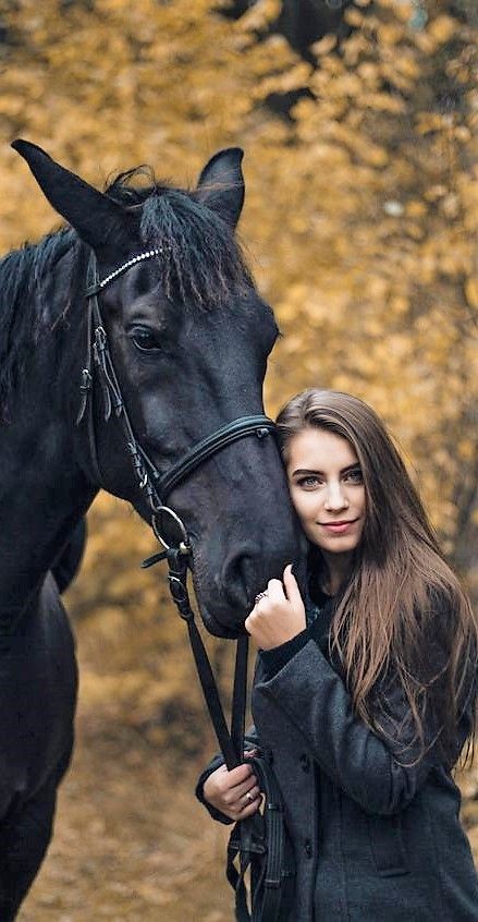 Friesian Horse Photography, Senior Horse Photography, Fresian Horses, Equestrian Photoshoot, Horse Photoshoot Ideas, Equine Photography Poses, Equine Photoshoot, Horse Senior Pictures, Horse Photography Poses