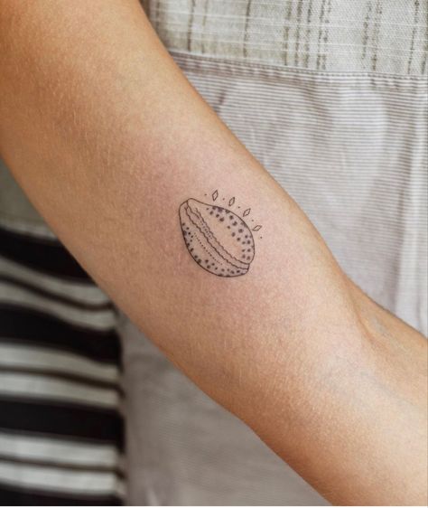 Cowrie Shell Tattoo Design, Cowry Shell Tattoo, Puka Shell Tattoo, Cowrie Tattoo, Sienna Tattoo, Simple Shell Tattoo, Cowrie Shell Tattoo, Small Shell Tattoo, Shell Tattoo Ideas