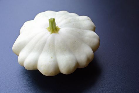 White Pattypan Squash White Squash, Healthy Squash Recipes, Pattypan Squash, Grilled Squash, Squash Seeds, Garden Veggies, Summer Vegetable, Squash Recipes, Summer Squash