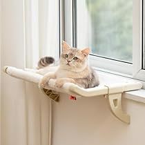 Cat Window Hammock, Cat Window Perch, Window Perch, Pet Hammock, Cat Personalities, Hanging Bed, Cat Window, Cat Perch, Cat Hammock