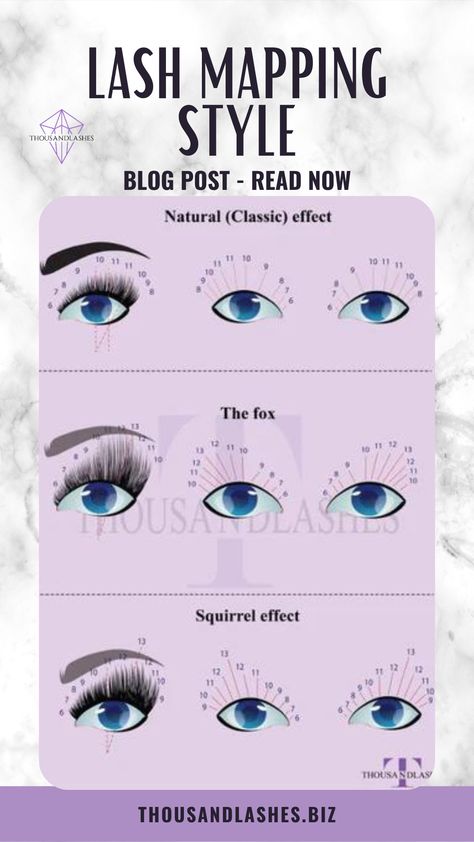 Lash Mapping Styles If your client prefers some more drama, opt for the Fox style. These lashes are more dramatic than the classic option but have a natural look. They're perfect for someone who wants a little extra length and volume. The Squirrel lash style is excellent if you want long lashes that add volume without being too much or too obvious. These lashes are perfect for someone who wants to keep her makeup simple but wants her eyes to stand out. Mapping Eyelash Extensions, Lash Mapping Styles, Lash Mapping Eyelash Extensions, Eyelash Lift And Tint, Lash Mapping, Lash Style, Eyelash Extensions Styles, Lash Extensions Styles, Makeup Simple