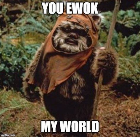 55+ Epic Star Wars Love Quotes that only geeks will understand. Perfect for Valentine's day, wedding, and anniversary cards. #starwarsquotes #starwarsart #lovequotes Star Wars Love Quotes, Star Wars Puns, Bear Meme, May The Fourth Be With You, May The Fourth, Star Wars Love, May The 4th Be With You, May The 4th, Birthday Meme