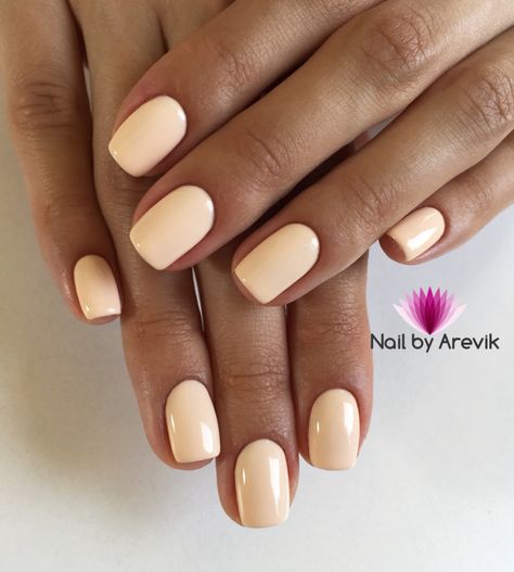 Shy is a super pale peachy nude. Award Winning Gel Polish! This incredible 100% pure colored gel is created by Akzentz amazing team of chemists to be completely solvent free, long lasting and easily applied! This unique formula provides numerous benefits: Easy Application - The product is not runny so it stays where you apply it. Odor Free - Absolutely NO smell. Does not smell like nail polish, since it is polish free. Flexibility and Strength - Typical gel polish made with polish in it will chi Engagement Nails Color, Cream Square Nails, Cream Pearl Nails, Neutral Nail Designs 2024, Short Gel Nails Summer 2024, Pale Orange Nails, Acrylic Squoval Nails, Peachy Nude Nails, Cream Colored Nails