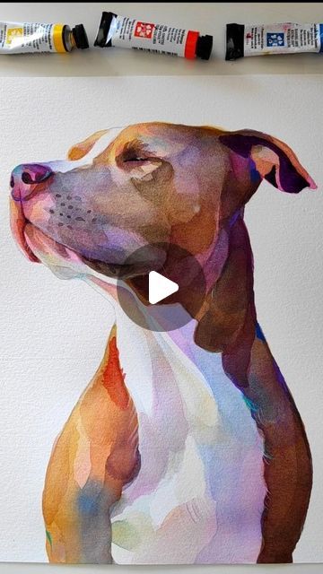 Watercolour Dog Portrait, Watercolour And Pencil, Portraits Painting, Artist Ideas, Magical Paintings, Dog Portraits Painting, Watercolor Dog Portrait, Watercolor Beginner, Instagram Painting