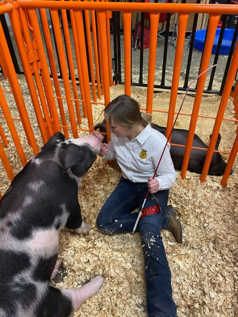 Pig Show Hairstyles, Livestock Show Outfits Pigs, Showing Pigs, 4h Livestock, Show Pigs, Livestock Showing, Birthday Dream, Show Outfits, Pig Showing