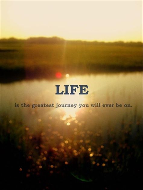 Life... Is the greatest... this is the journey you pull along for your whole life... Its yours to control!  And remember...  NEVER LET YOURSELF DOWN Stylish Quote, Famous Quotes About Life, Life Is Beautiful Quotes, Quote Of The Week, Life Quotes Love, Wonder Quotes, Good Morning Inspirational Quotes, Albert Camus, Quotes About Life