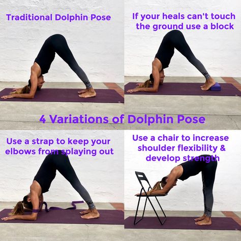 Yoga - Variations of Dolphin Pose Yoga for every body & mind Yasmin Springer Yoga Yoga Dolphin Pose, Dolphin Pose Yoga, Yoga Variations, Spirituality Practice, Shoulder Flexibility, Stronger Everyday, Yoga Basics, Dolphin Pose, Yoga Goals