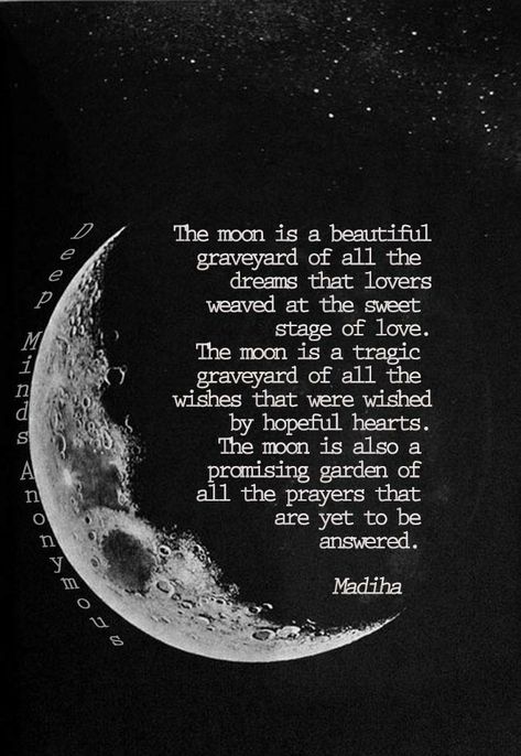 Full Moon Quotes, Cosmic Quotes, Moon And Star Quotes, Stages Of Love, Moon Quotes, Poetic Quote, Star Quotes, Good Luck Quotes, Literature Quotes