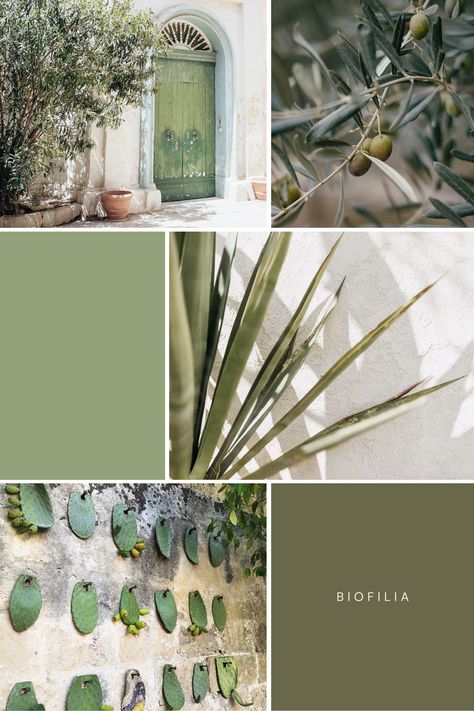 How To Create The Perfect Italian Color Scheme for Your Home Mediterranean Paint Colors Interior, Italian Color Palette, Mediterranean Color Scheme, Mediterranean Color Palette, Mediterranean Styles Interior, Two Tone Walls, Italian Interior Design, Colour Consultant, Mediterranean Design