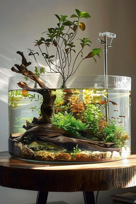 Discover the benefits of a biologically diverse planted tank with our biodiversity-focused aquascaping ideas. Learn how to create a balanced ecosystem that supports a wide range of aquatic life, from microorganisms to fish and plants. For advice on building and maintaining a biodiverse aquarium, check out our blog. Freshwater Planted Aquarium Ideas, Aquarium In Room Aesthetic, Fish Tank In Office, Fish Tank Scapes, Freshwater Community Tank, Ecosystem Fish Tank, Office Aquarium Ideas, Fish Tank Greenhouse, Live Plant Aquarium Ideas