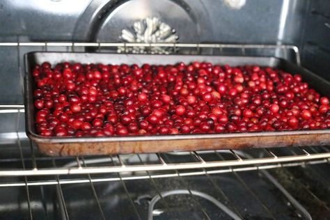 How to Dry Fresh Cranberries | Livestrong.com How To Dry Fresh Cranberries, Preserving Cranberries, How To Dry Cranberries In Oven, How To Dry Cranberries For Decoration, Fresh Cranberries What To Do With, How To Dehydrate Cranberries, How To Use Fresh Cranberries, Dry Cranberries, How To Dry Cranberries