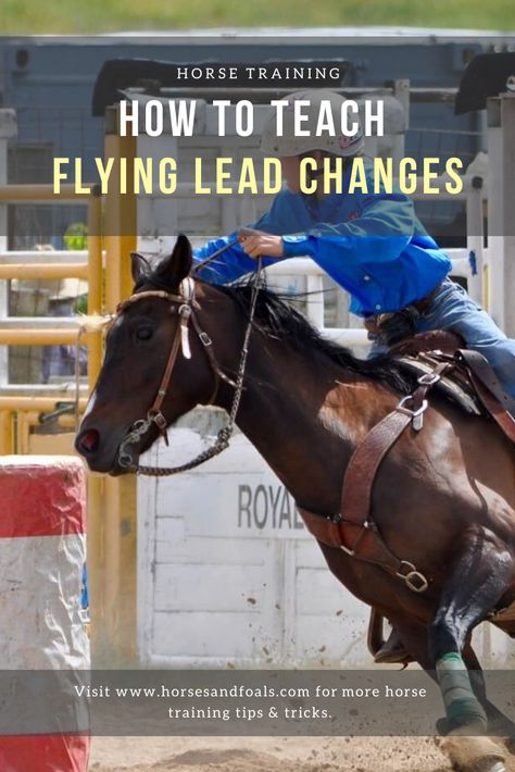 Lead Changes Horses, Teaching Horse Riding Lessons, Horse Drills, Barrel Racing Exercises, Horsemanship Patterns, Horses Foals, Trail Riding Horses, Horse Riding Gear, Pole Bending