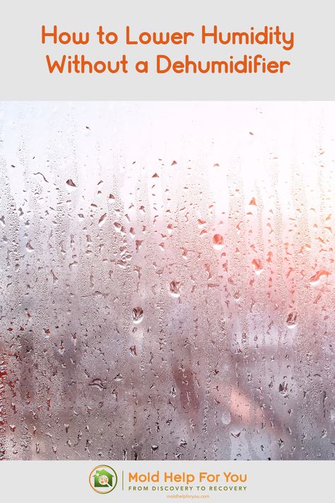 Looking out from an interior window that has a lot of condensation dripping from humidity How To Reduce Humidity In Home, Dehumidifier Diy, Natural Dehumidifier, Mold Prevention, Toxic Mold, Cleaning Mold, Diy Wardrobe, Mold Growth, Dehumidifiers