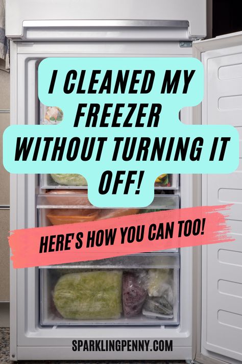 Defrosting Freezer Fast, How To Clean Freezer, Clean Freezer, Freezer Hacks, Fill Your Freezer, Best Steam Cleaner, Clean Refrigerator, Freezer Organization, Diy Cleaning Solution