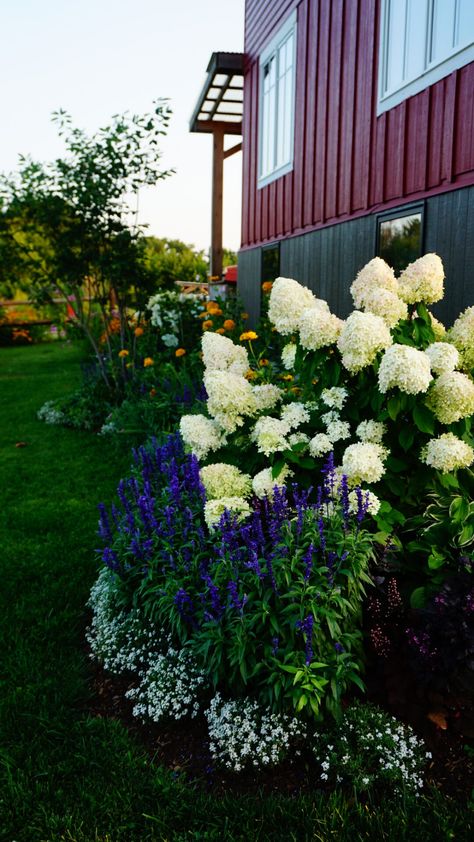 Hydrangea Flower Bed, Hydrangea Landscaping, Front Flower Beds, Garden Nails, Tattoo Garden, Front Landscape, Garden Tattoo, Farmhouse Landscaping, Front Yard Design