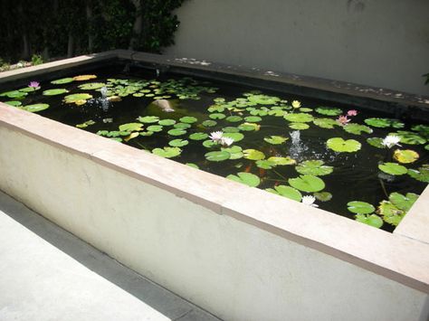 rectangular ponds - Google Search Rectangle Water Feature, Fishpond Ideas, Rectangle Pond, Porch Pond, Koi Pool, Rectangular Pond, Carp Pond, Hamptons Garden Landscaping, Country Garden Landscaping