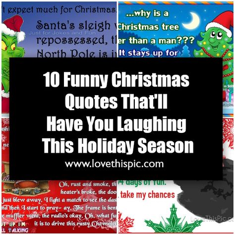 10 Funny Christmas Quotes That'll Have You Laughing This Holiday Season Funny Christmas Shopping Quotes, Happy Holidays Quotes Funny, Christmas Funnies Humor, Funny Christmas Poems Hilarious, Silly Christmas Quotes, Christmas Is Coming Humor, Snarky Christmas Quotes, Christmas Break Quotes, Xmas Quotes Funny