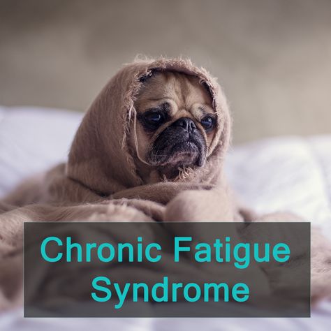 Extreme Tiredness, Wall Push Ups, Fatigue Syndrome, Trouble Sleeping, Hormone Imbalance, Cognitive Behavioral Therapy, Feeling Sick, Behavioral Therapy, Chronic Fatigue