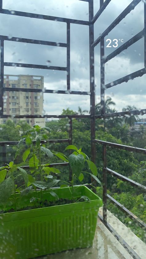 The calm after a heavy rainfall!!✨🫶🏻 #aesthetic #sky #bluesky #rainyday #rainaesthetic #raining #trees #nature #story #instastory #instastories #snapstreak #snapchatideas #snap #explore #fyp #foryoupage #aestheticphotos #views Rain Day Snapchat Stories, Evening Rain Snap, Rain Day Snap, Rainy Sky Snap, Rain Aesthetic Snap, Rain Pics Nature, Rainy Morning Snap, Rainy Day Snapchat Stories, Rainy Snapchat Stories