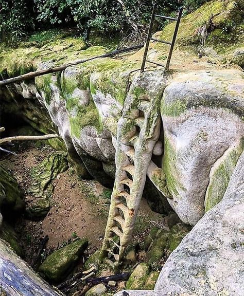 Petrified Ladder In France Iron Ladder, Castles In Ireland, Abandoned Mansion, Ancient Origins, Urban Area, Abandoned Houses, How To Level Ground, Winter Garden, Abandoned Places