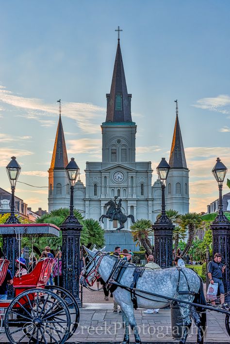 Nouvelle Orleans, Distressed Kitchen, Square French, Queen Of The South, Jackson Square, Cultural Capital, The French Quarter, Willow Creek, Hudson River