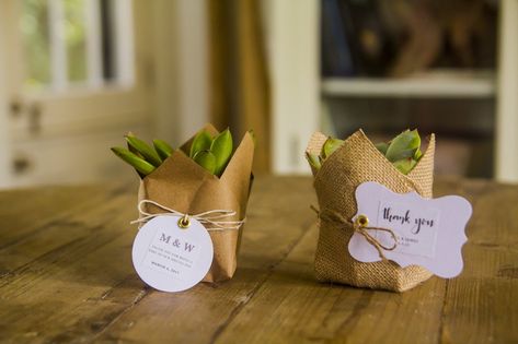 Succulent Bouquet Diy, Succulent Party Favors, Popcorn Wedding Favors, Plant Wedding Favors, Succulent Diy, Diy Bridal Shower, Food Wedding Favors, Succulent Bouquet Wedding, Vintage Wedding Favors