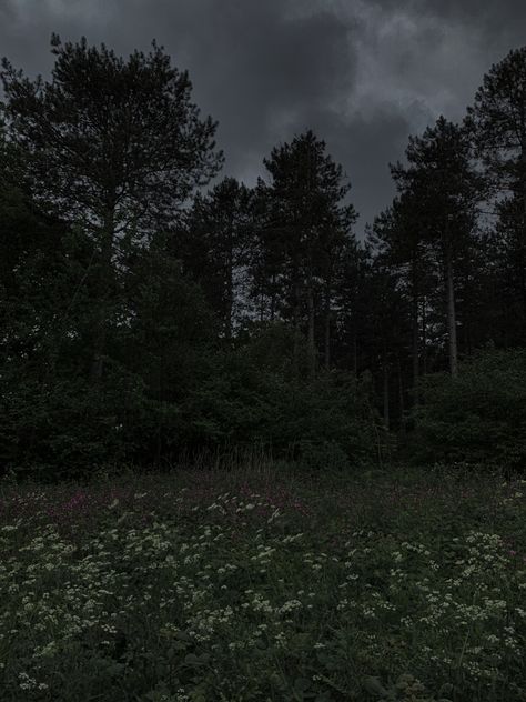 Forest Foggy Rain, Grey Hour, Dark Core, Dark Naturalism, Gloomy Weather, Pretty Nature, Night Scenery, Dark Ages, Dark Forest