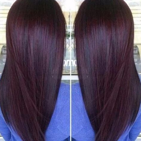 Chocolate cherry plum hair color Cherry Hair Colors, Hair Color Plum, Cherry Plum, Magenta Hair, Plum Hair, Hair Color Chocolate, Wine Hair, Cherry Hair, Violet Hair