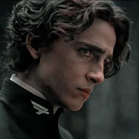 dune movie Regulus Black Timothee Chalamet, Dune Timothee Chalamet, Timothee Chalamet Dune, Regulus Acturus Black, Dune Novel, Dune Characters, Dune Movie, Paul Atreides, Denis Villeneuve